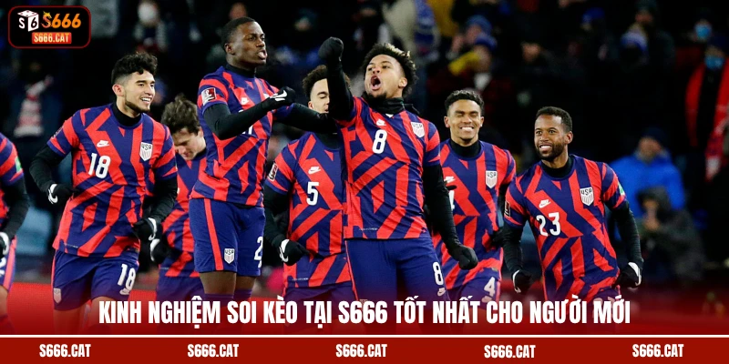 Kinh nghiệm soi kèo tại S666 tốt nhất cho người mới