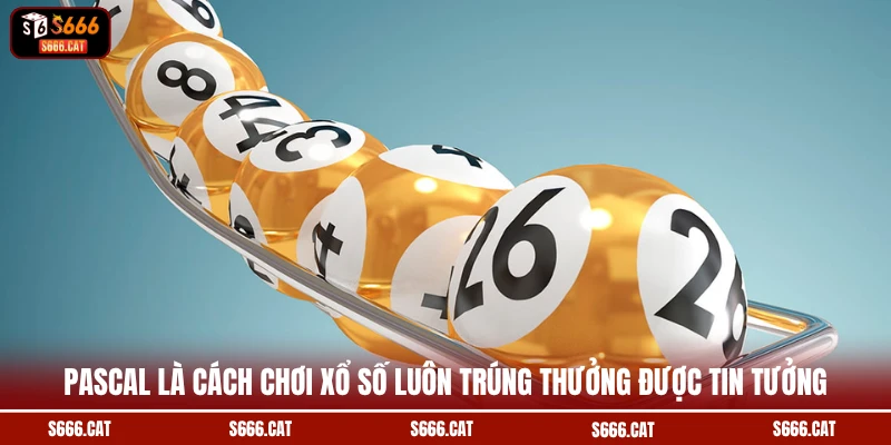 Pascal là cách chơi xổ số luôn trúng thưởng được tin tưởng