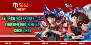 Tỷ Lệ Cược Esports: Các Loại Kèo Phổ Biến Và Cách Chơi